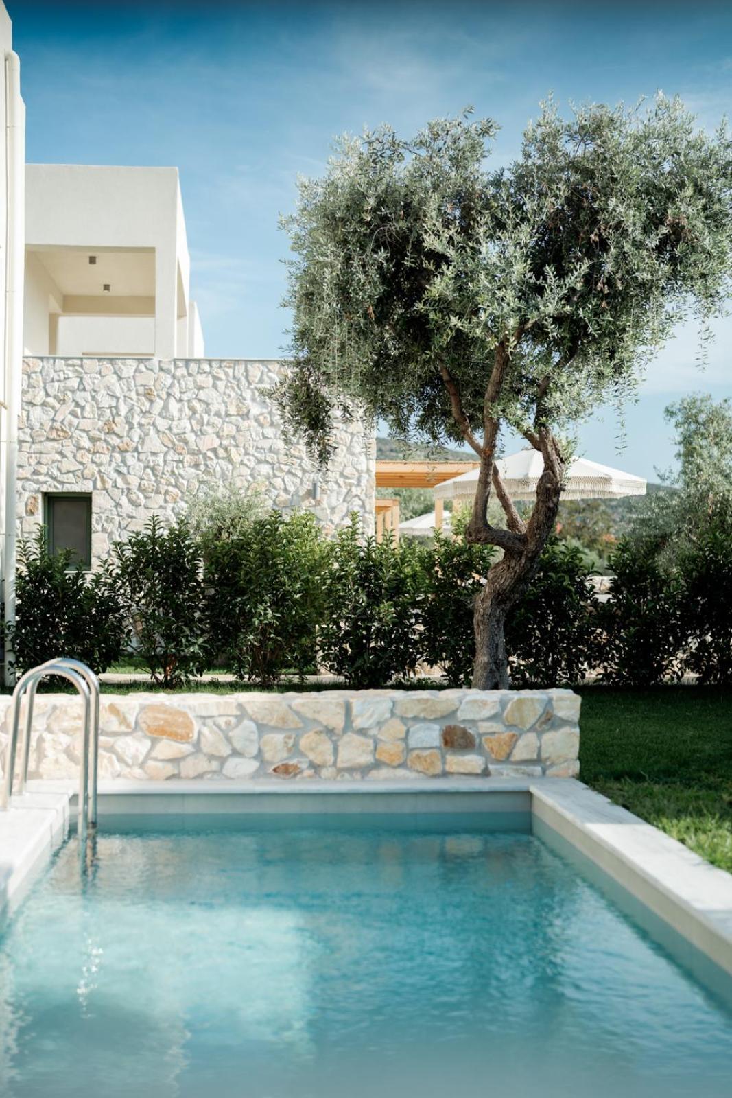 Magnolia Villas Potos Thassos Dış mekan fotoğraf